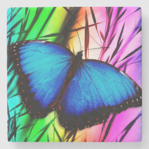 Beautiful Blue Morpho butterfly Stone Coaster