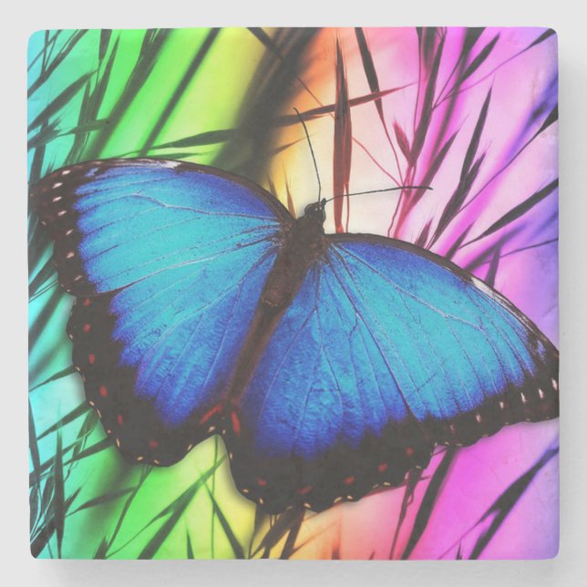 Beautiful Blue Morpho butterfly Stone Coaster (Front)