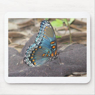 Beautiful Blue Orange and Black Butterfly. Mouse Pad