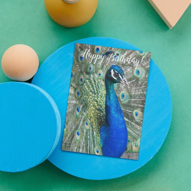 Beautiful Blue Peacock Birthday Card (In Situ)
