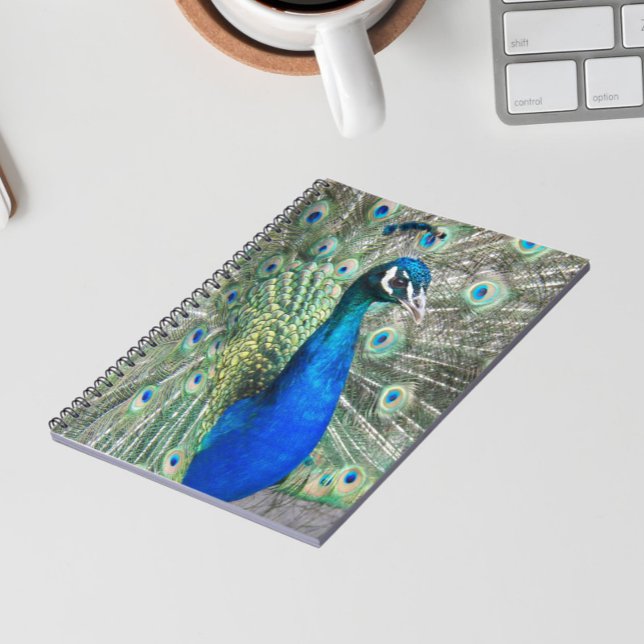 Beautiful Blue Peacock Feathers Notebook (In Situ)