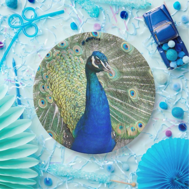 Beautiful Blue Peacock Feathers Paper Plate (Party)