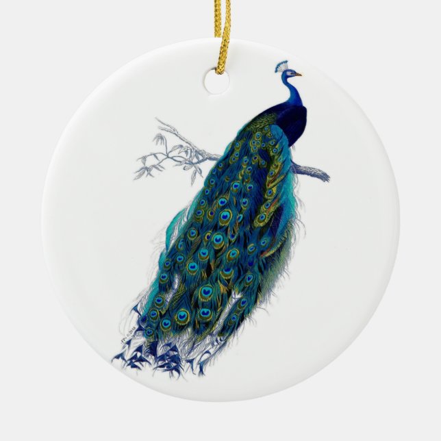 Beautiful Blue Peacock Nature Bird Tail Feathers Ceramic Ornament (Front)