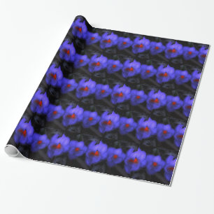 Beautiful Blue Purple Crocus Blooms Wrapping Paper