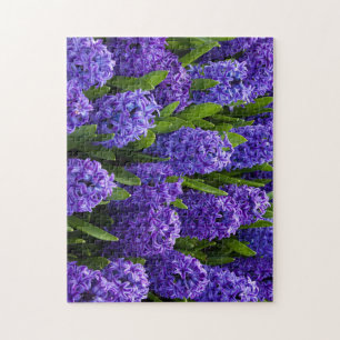 Beautiful Blue/Purple Hyacinths Jigsaw Puzzle