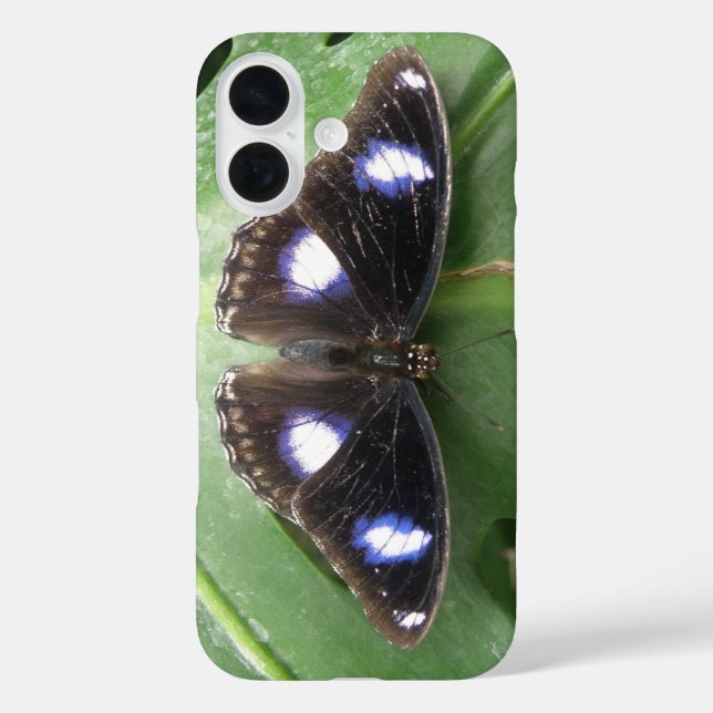 Beautiful Blue Spotted Butterfly Case-Mate iPhone Case (Back)