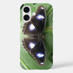 Beautiful Blue Spotted Butterfly iPad Case