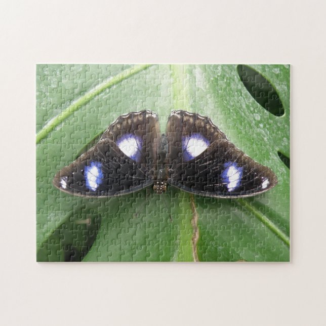 Beautiful Blue Spotted Butterfly Puzzle (Horizontal)