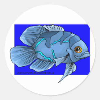 Beautiful Blue Tropical Oscar Fish Classic Round Sticker