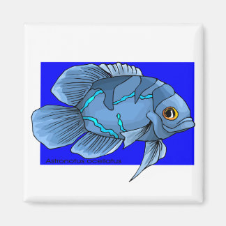 Beautiful Blue Tropical Oscar Fish Magnet
