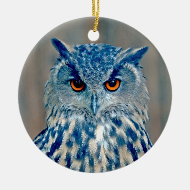 Beautiful Blue Uhu Raptor Owl Ceramic Ornament (Front)