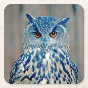 Beautiful Blue Uhu Raptor Owl Square Paper Coaster