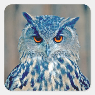 Beautiful Blue Uhu Raptor Owl Square Sticker
