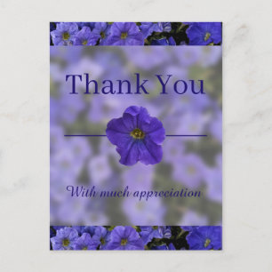 Beautiful Blue Violet Petunias Thank You Postcard