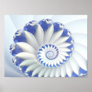 Beautiful Blue & White Sea Shell Fine Fractal Art Poster