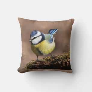 Beautiful Blue & Yellow Tit Bird on a Branch Cushion