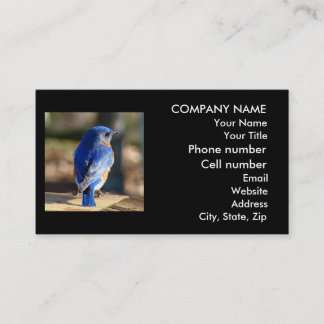Beautiful Bluebird Business Card