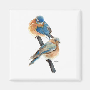 Beautiful Bluebird Couple Watercolor Art Magnet