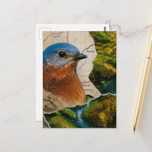 Beautiful Bluebird Forest Map Collage Postcard