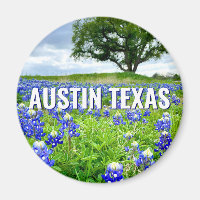 Beautiful Bluebonnets Austin Texas Photography