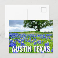 Beautiful Bluebonnets Austin Texas Photography
