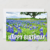 Beautiful Bluebonnets Photo Happy Birthday Card