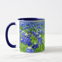 Beautiful Bluebonnets Texas Photography