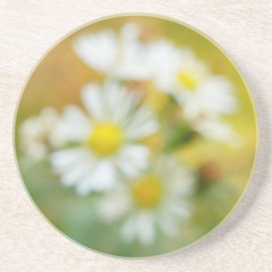 Beautiful Blur Daisies Coaster