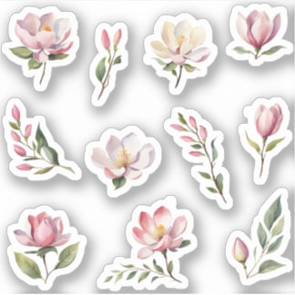 Beautiful Blush Pink Magnolia Flowers Pack
