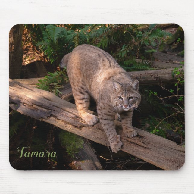 Beautiful Bobcat Wildlife Lover Custom Name Mouse Pad (Front)