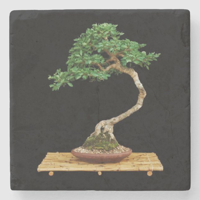 Beautiful Bonsai Tree Stone Coaster (Front)