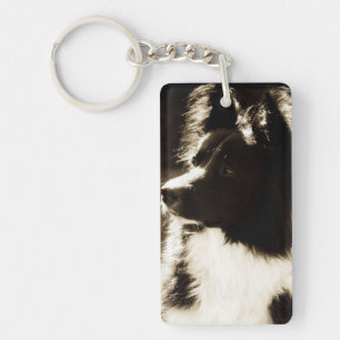 Beautiful Border Collie~ Key Ring