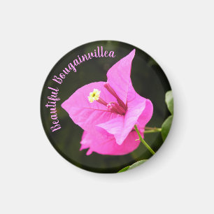 Beautiful Bougainvillea Magnet