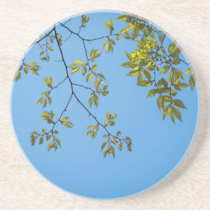 beautiful branch with green and yellow leaves hug coaster