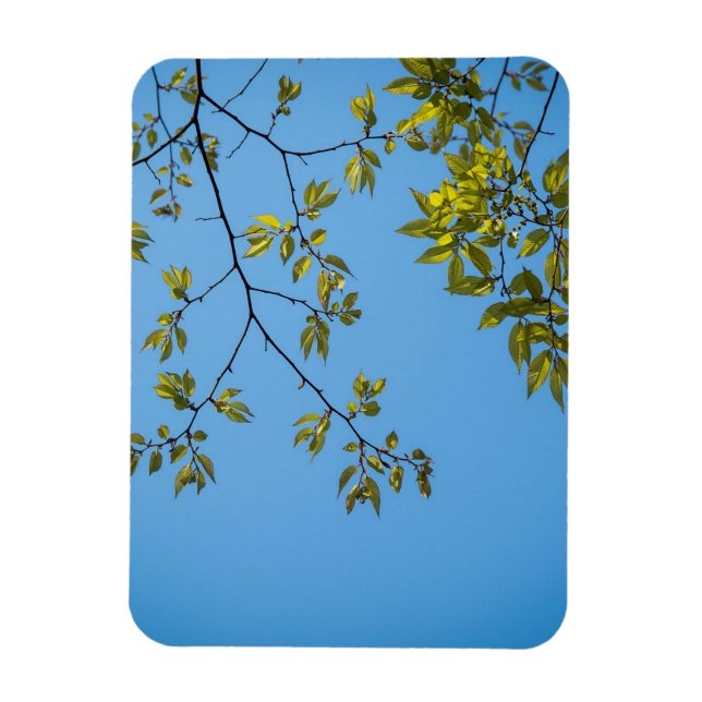 beautiful branch with green and yellow leaves hug magnet (Vertical)
