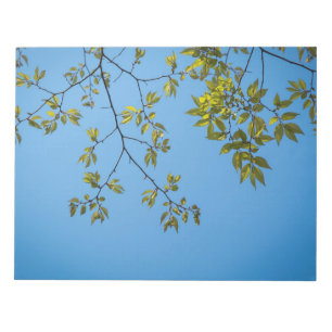 beautiful branch with green and yellow leaves hug notepad