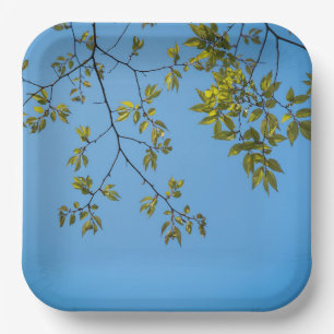 beautiful branch with green and yellow leaves hug paper plate