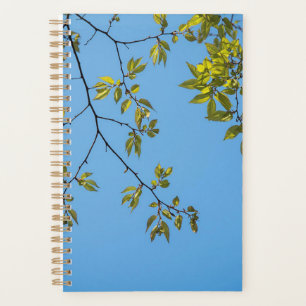beautiful branch with green and yellow leaves hug planner