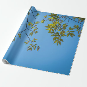 beautiful branch with green and yellow leaves hug wrapping paper