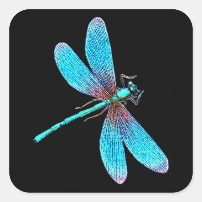 Beautiful Bright Blue Turquoise Dragonfly Square Sticker (Front)