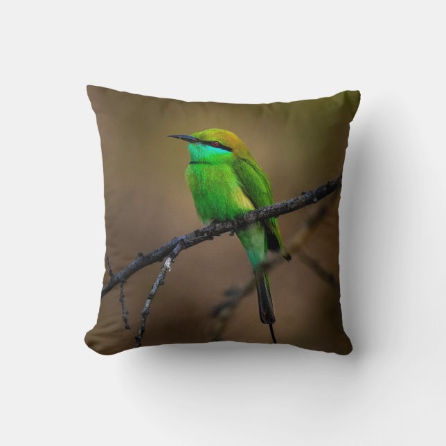 Beautiful Bright Green Bird on a Thin Twig Cushion (Front)