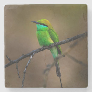 Beautiful Bright Green Bird on a Thin Twig Stone Coaster