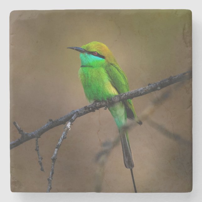 Beautiful Bright Green Bird on a Thin Twig Stone Coaster (Front)