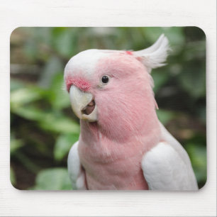 Beautiful Bright Pink and White Parrot Mouse Pad