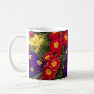 Beautiful Bright Polyanthus flowers Coffee Mug