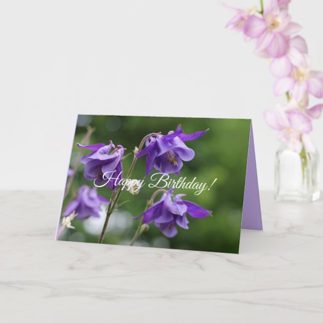 Beautiful bright purple flowers Aquilegia vulgaris Card (Orchid)