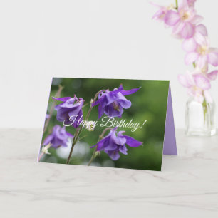 Beautiful bright purple flowers Aquilegia vulgaris Card