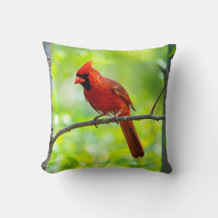 Beautiful Bright Red Cardinal in a Tree Cushion