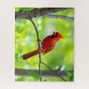 Beautiful Bright Red Cardinal in a Tree Jigsaw Puzzle