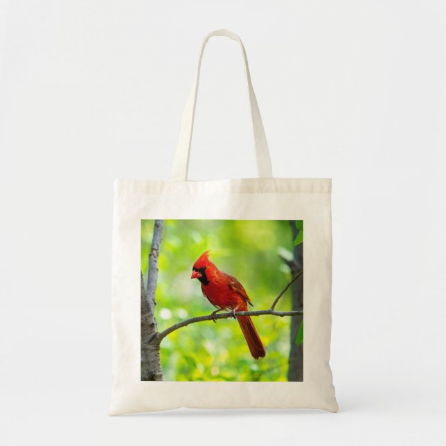 Beautiful Bright Red Cardinal in a Tree or Snow Tote Bag (Front)